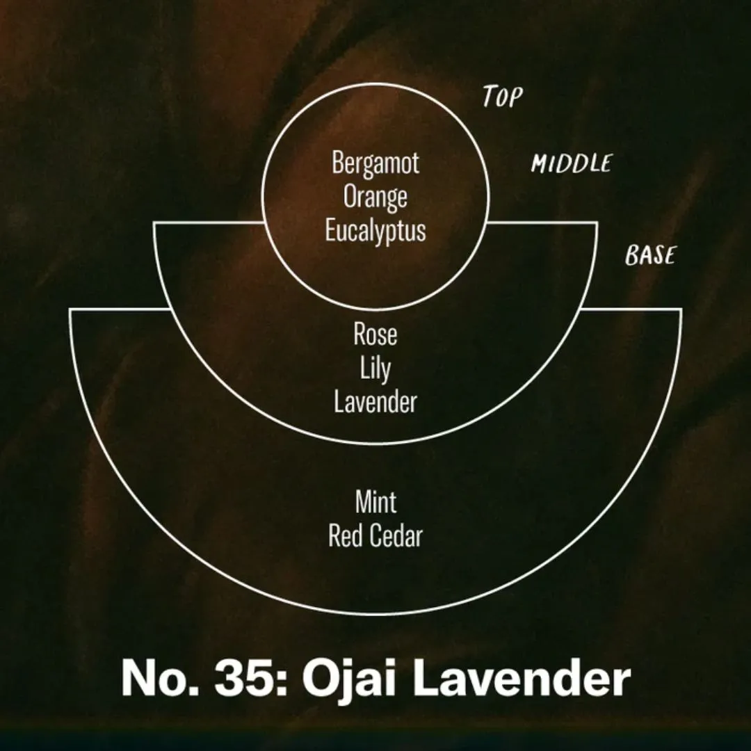 12.5oz Classic Soy Candle (Ojai Lavender)