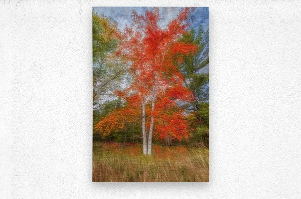 Autumn Delights
