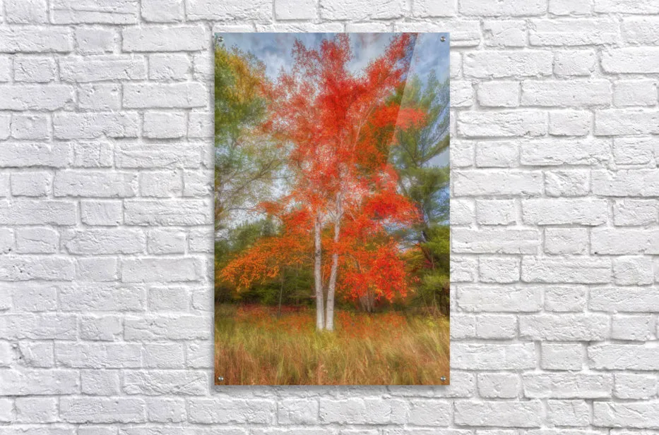 Autumn Delights