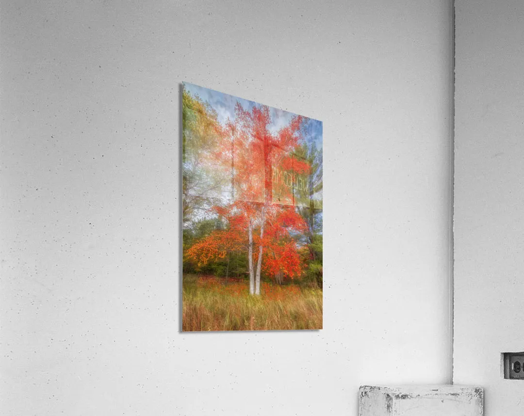 Autumn Delights