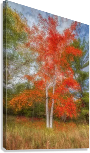 Autumn Delights