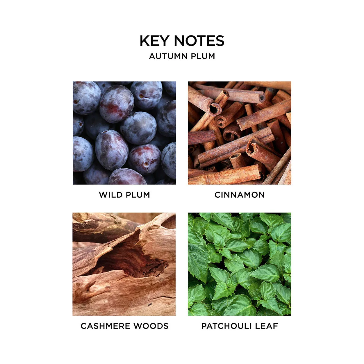 Autumn Plum Pura Refill