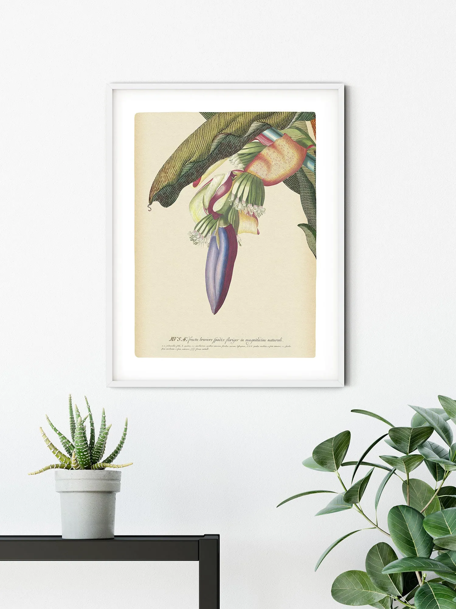 Banana Heart Art Poster