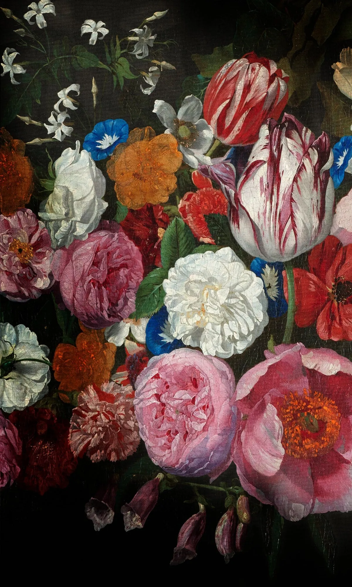 Black Bold Wild Roses Floral Wallpaper RM2079