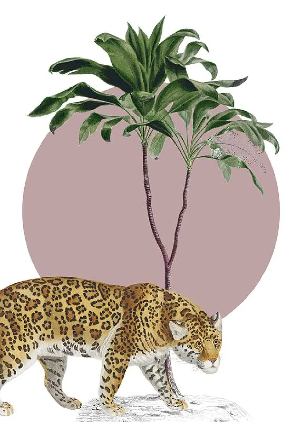 Botanical Garden Jaguar Art Poster
