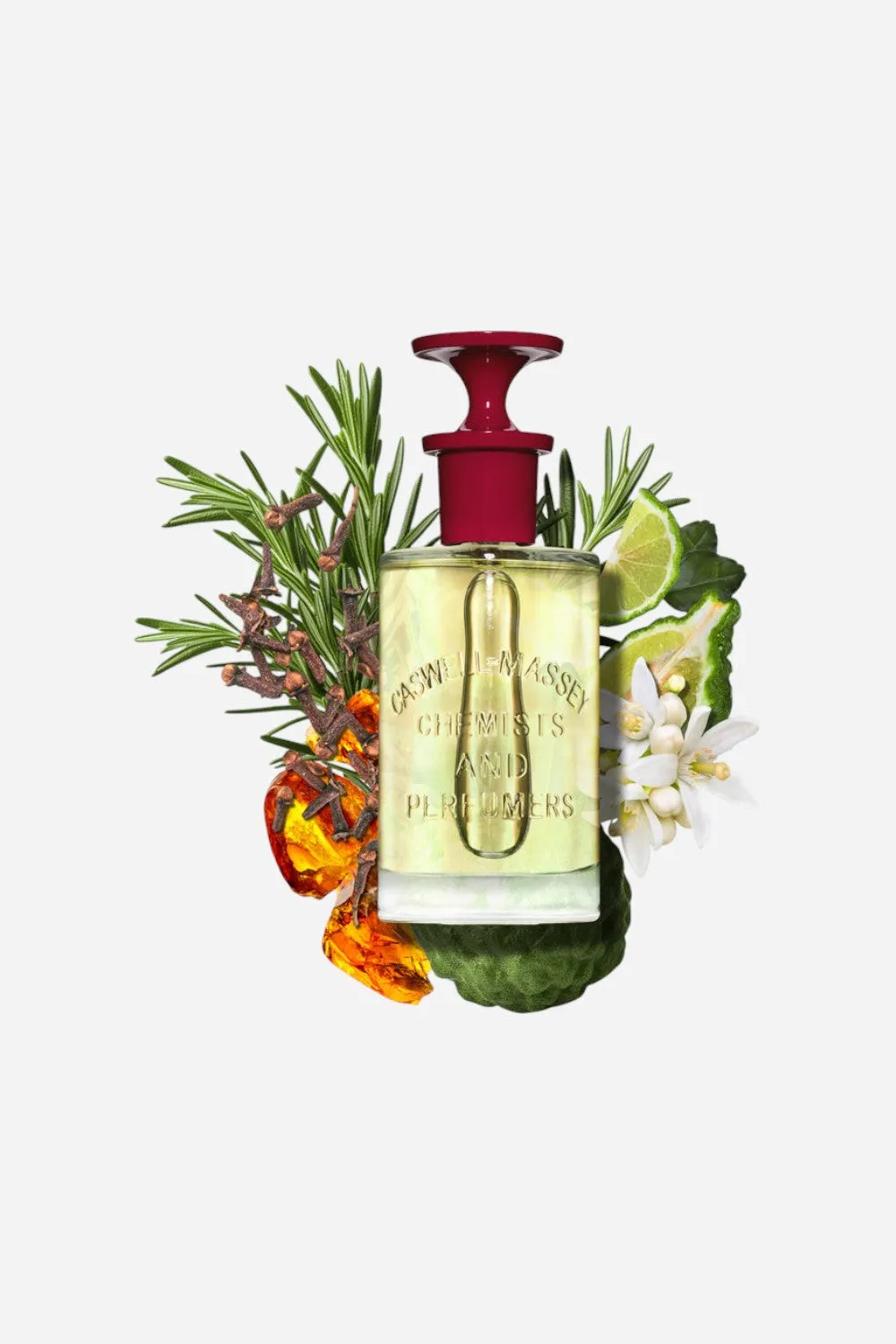Caswell-Massey Number Six Eau De Parfum - Discovery