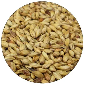 Dingemans Cara 20 Malt