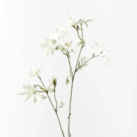 Flannel Flower Spray | Cream Green