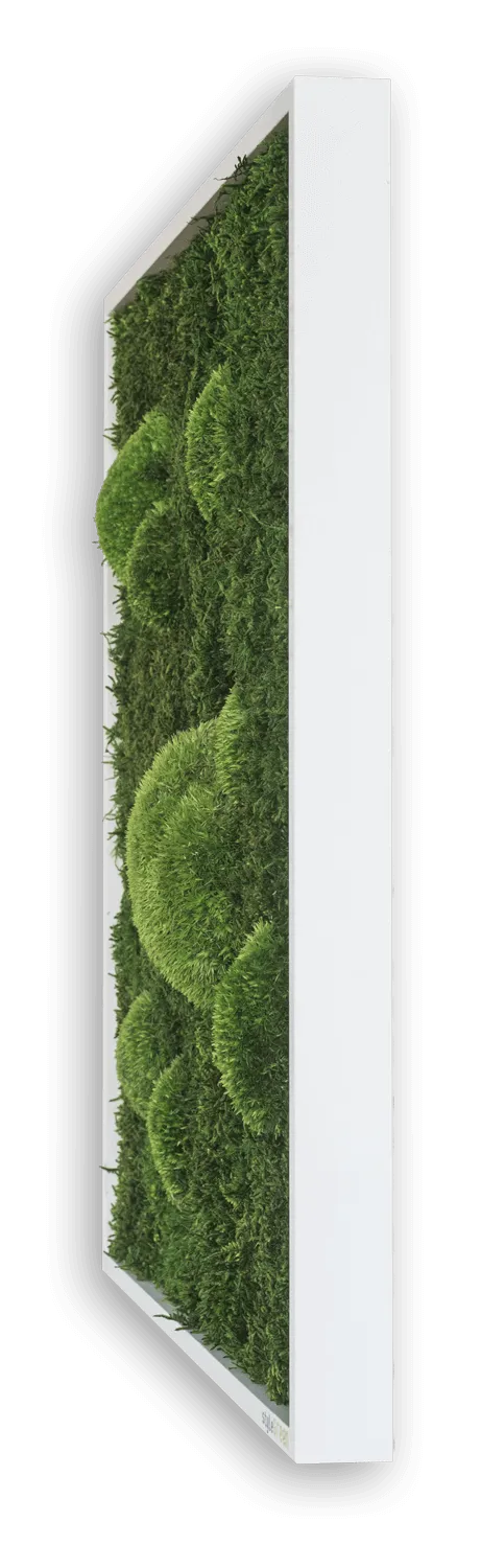 Forest Square Moss Wall Art (55cm)