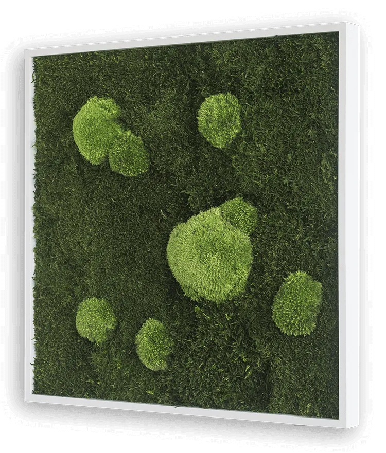 Forest Square Moss Wall Art (55cm)