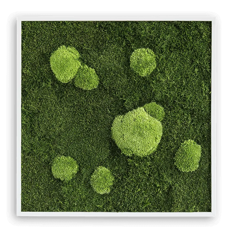 Forest Square Moss Wall Art (55cm)