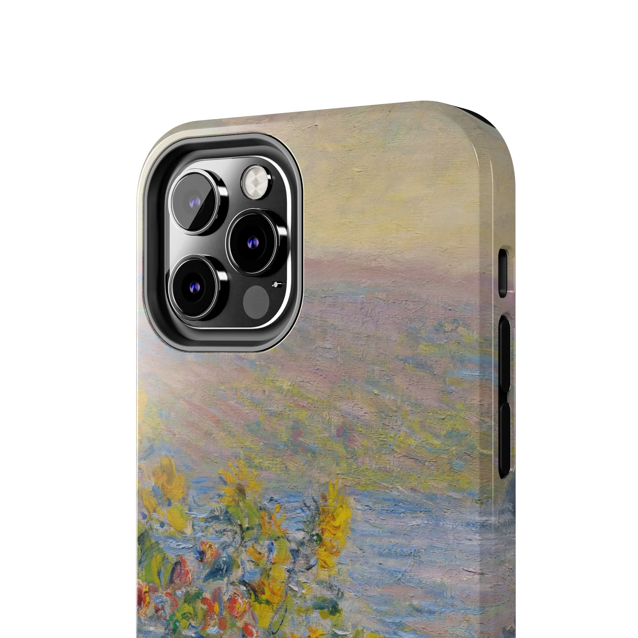 Hillside Blooms | Painting Case