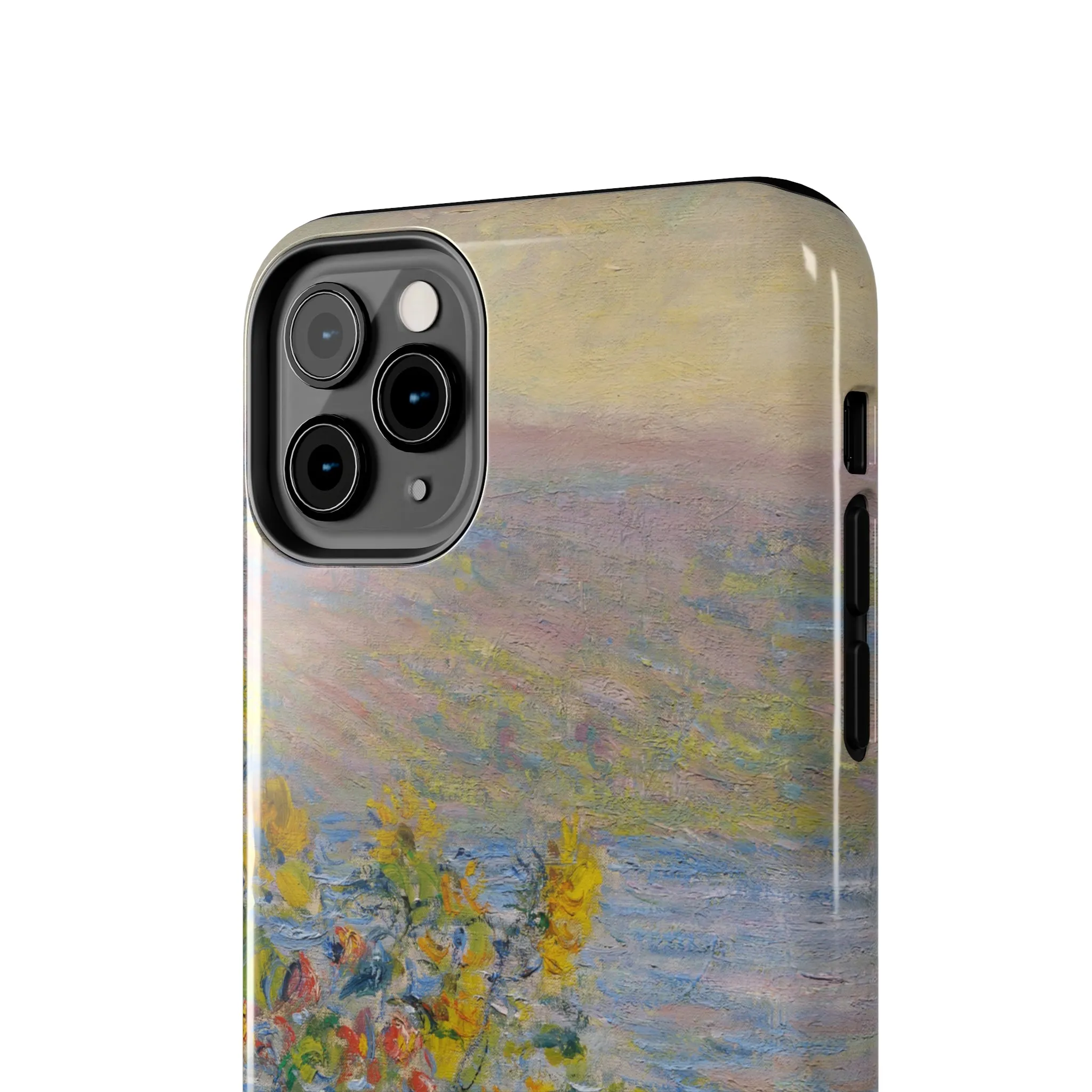 Hillside Blooms | Painting Case