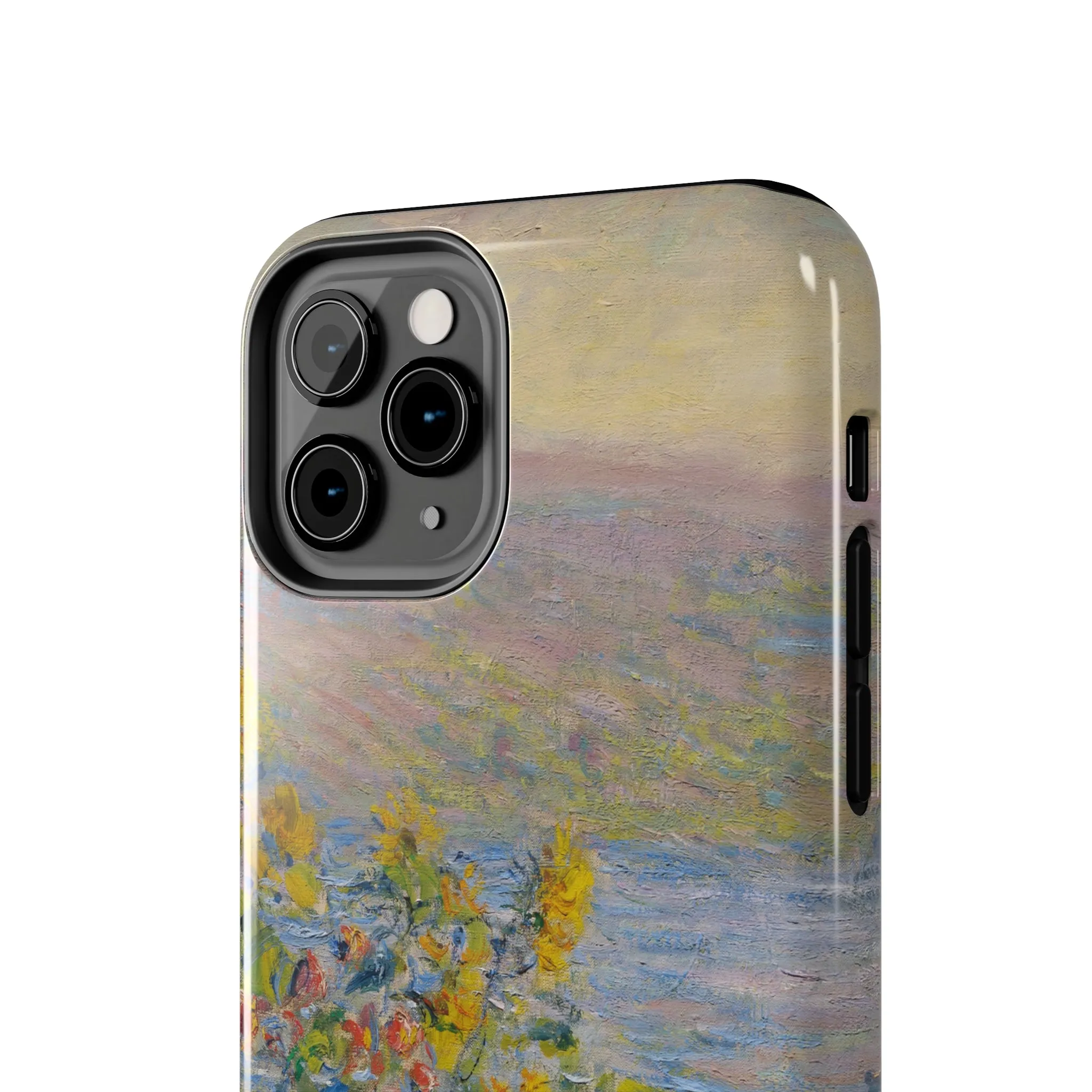 Hillside Blooms | Painting Case