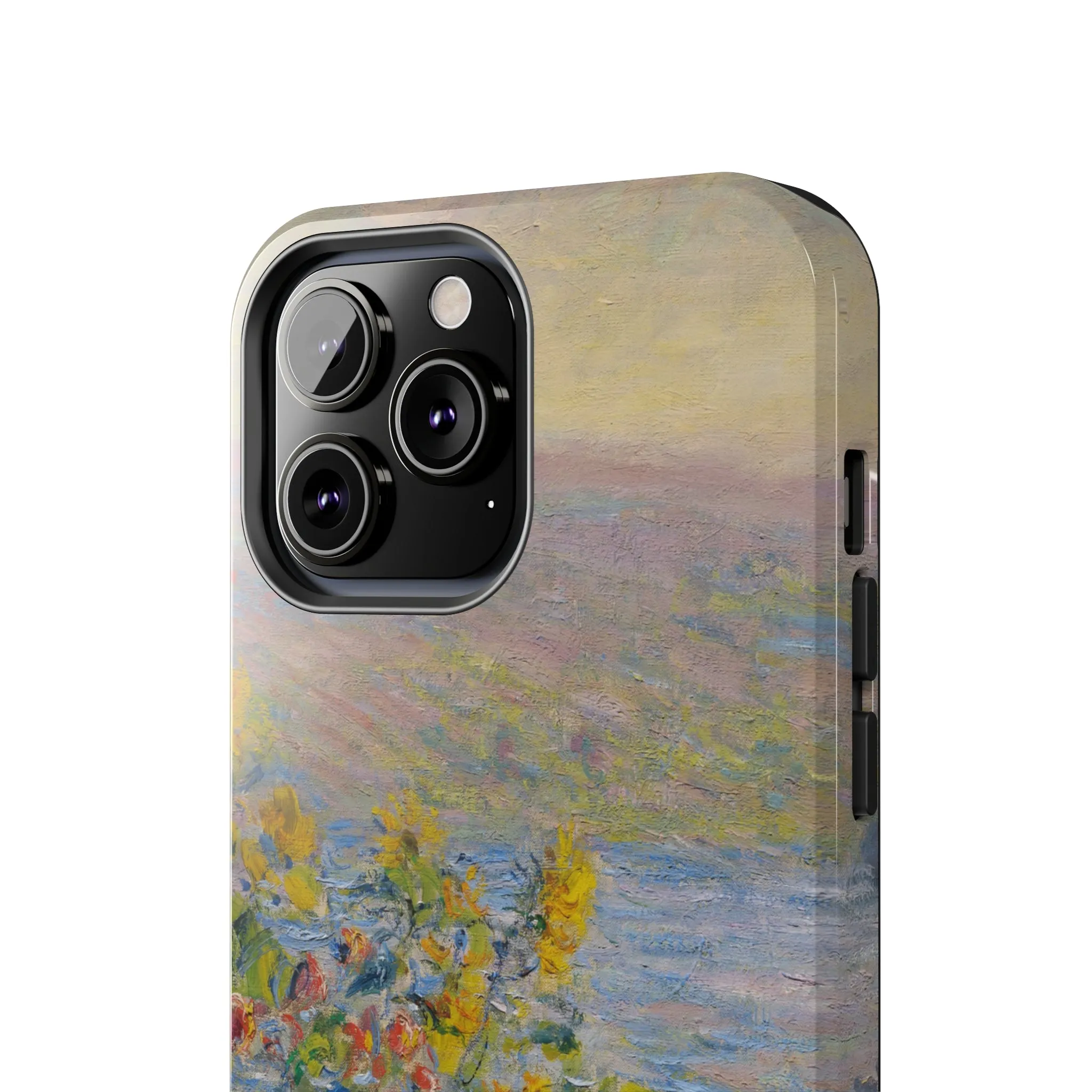 Hillside Blooms | Painting Case