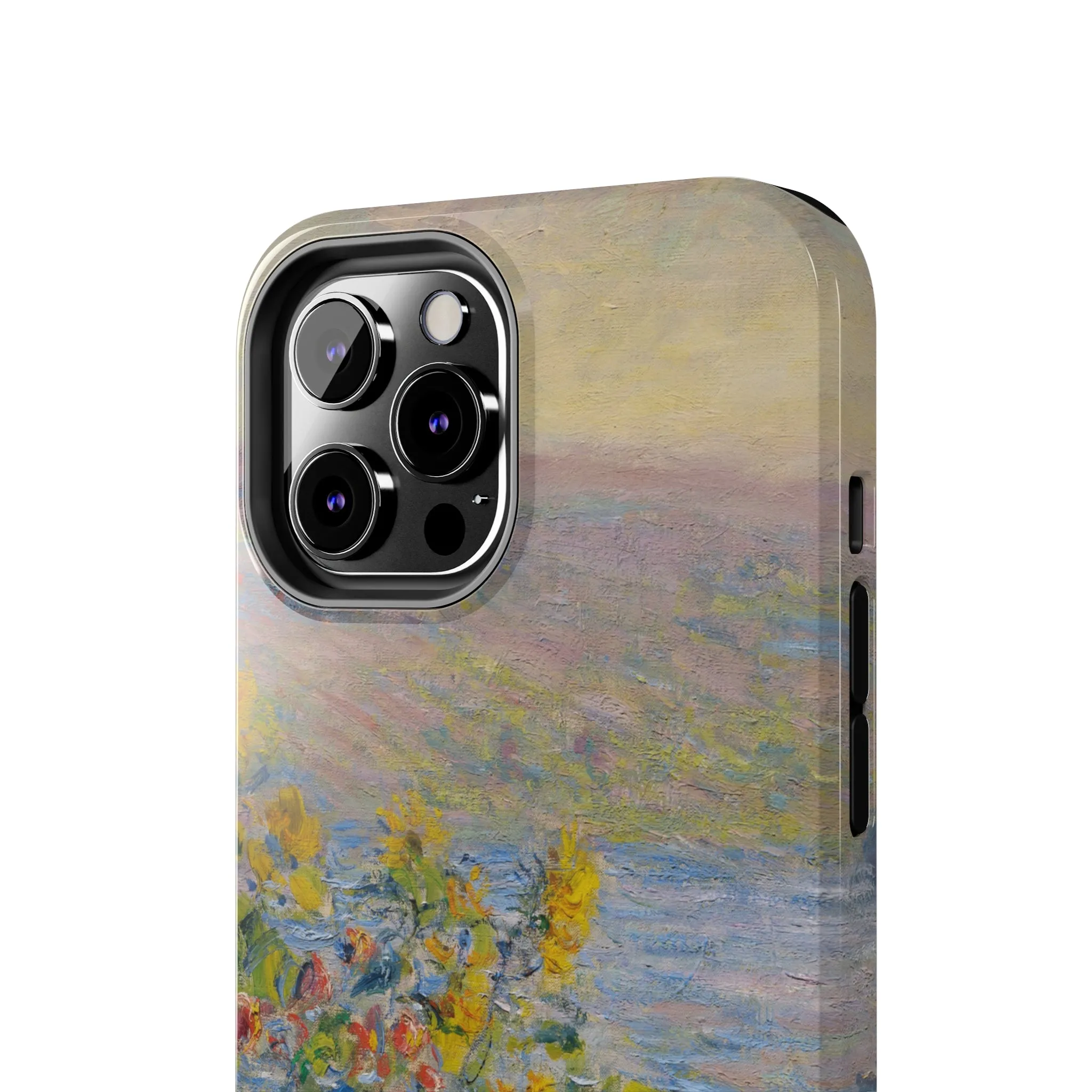 Hillside Blooms | Painting Case