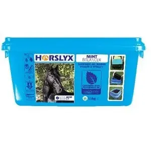 Horslyx Mint Lick - 15 kg