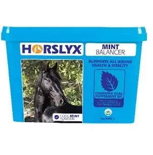 Horslyx Mint Lick Refill - 5 kg