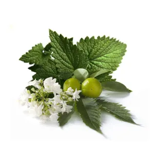 Natural Patchouli Fragrance Oil