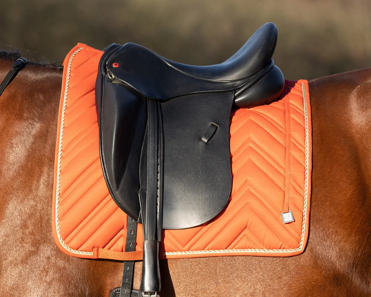 QHP Dressage Pad Menton