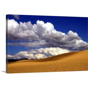 "Amber waves of grain" Canvas Wall Art