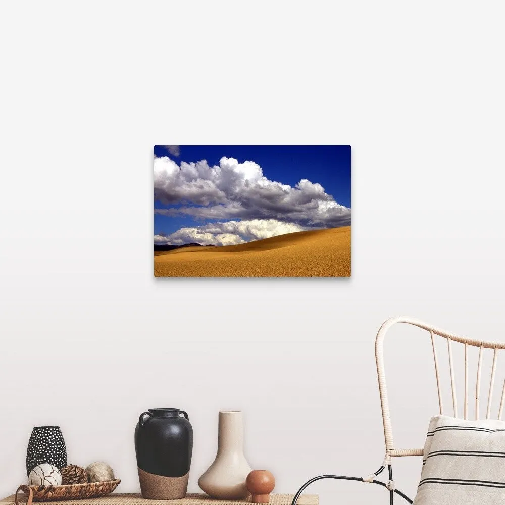 "Amber waves of grain" Canvas Wall Art