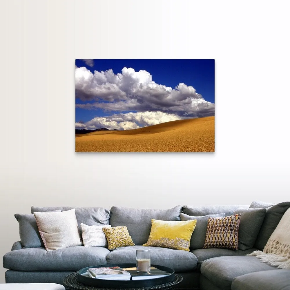 "Amber waves of grain" Canvas Wall Art