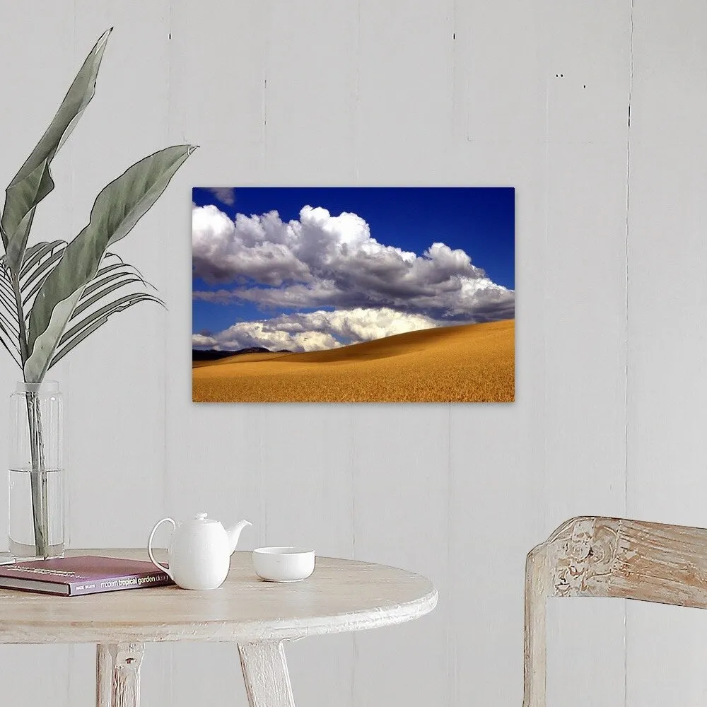 "Amber waves of grain" Canvas Wall Art