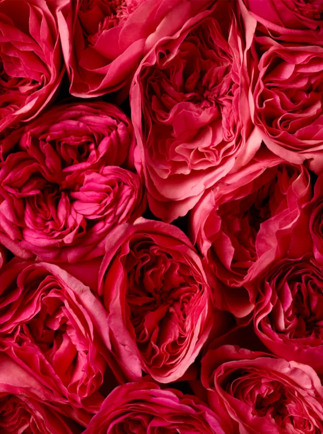 Ralph Lauren Beyond Romance