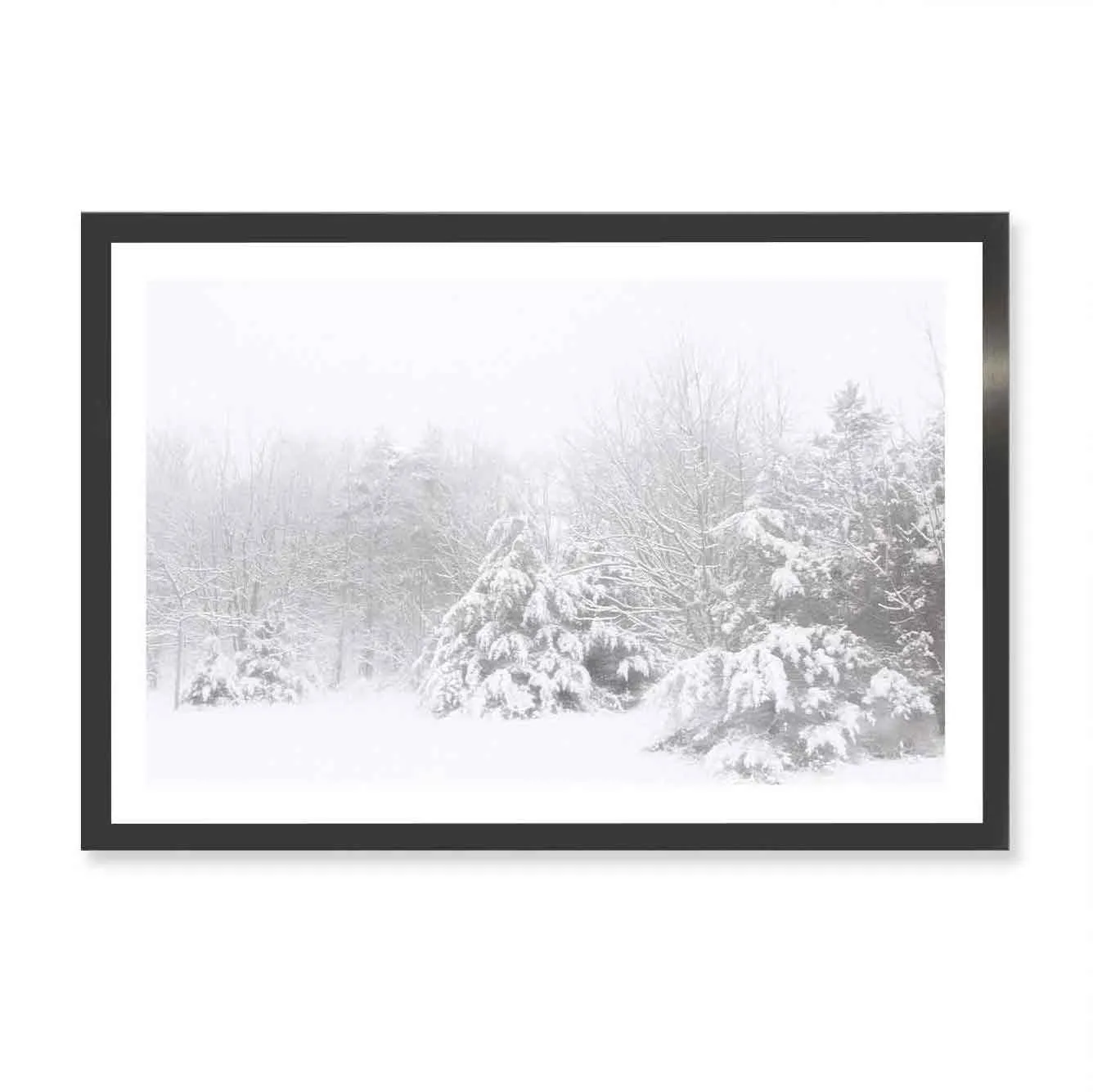 Snowy Pines Wall Art Print