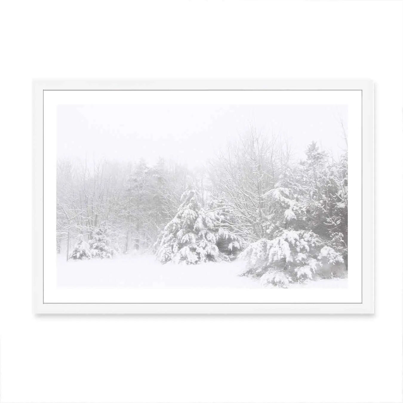 Snowy Pines Wall Art Print