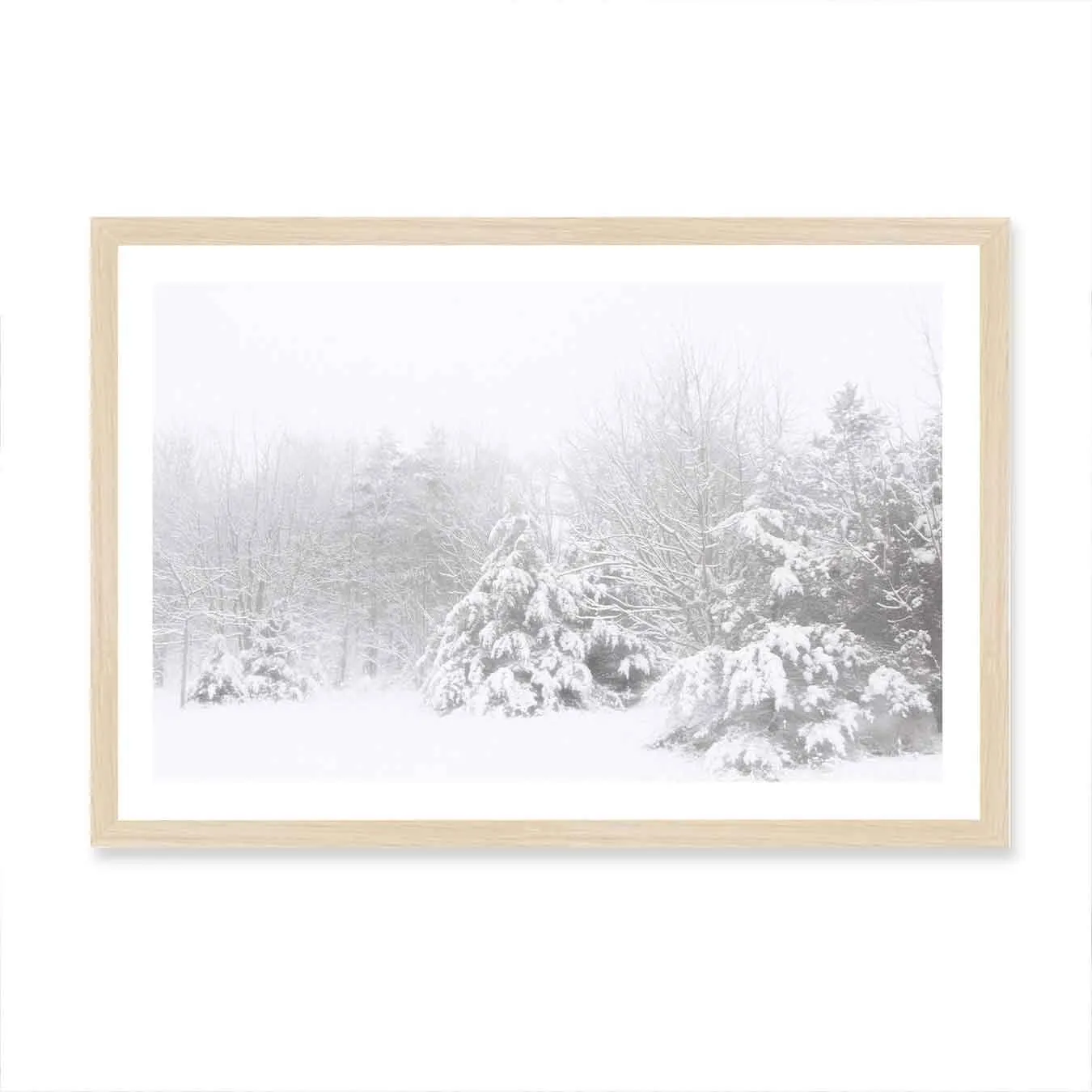 Snowy Pines Wall Art Print