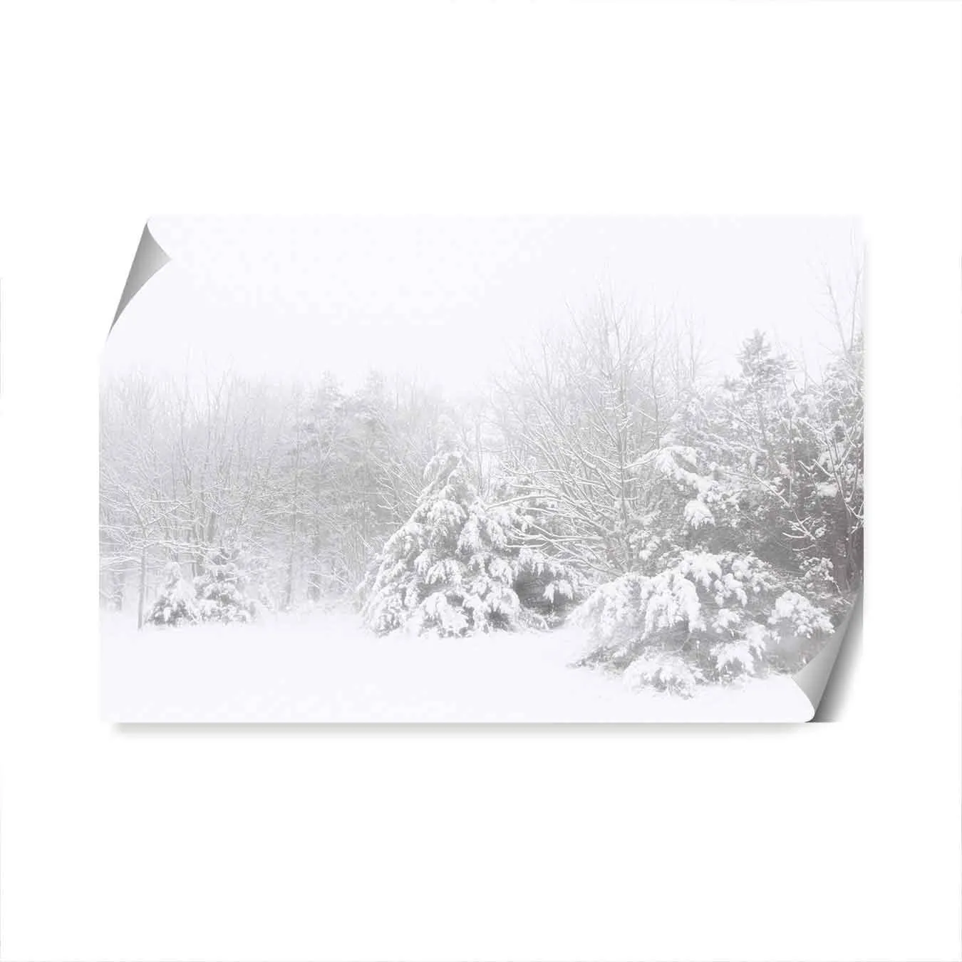 Snowy Pines Wall Art Print
