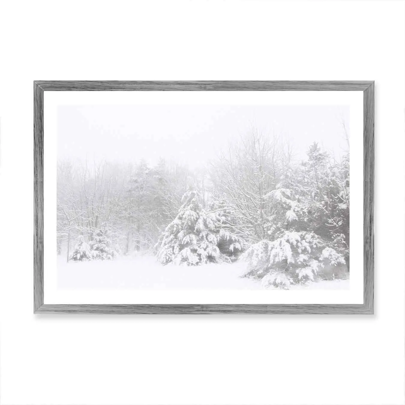 Snowy Pines Wall Art Print