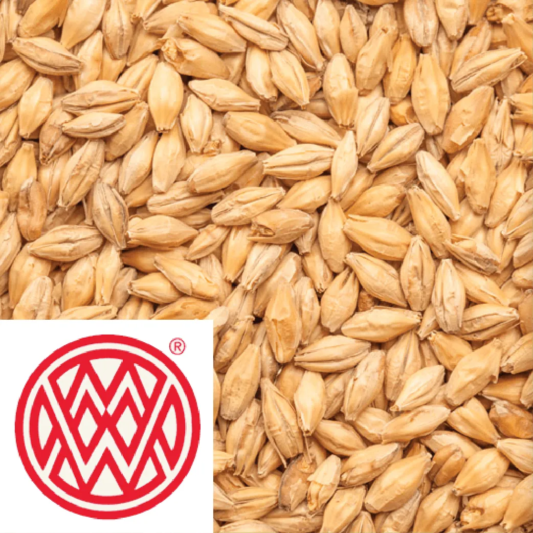 Vienna - Weyermann (GER) - per kg